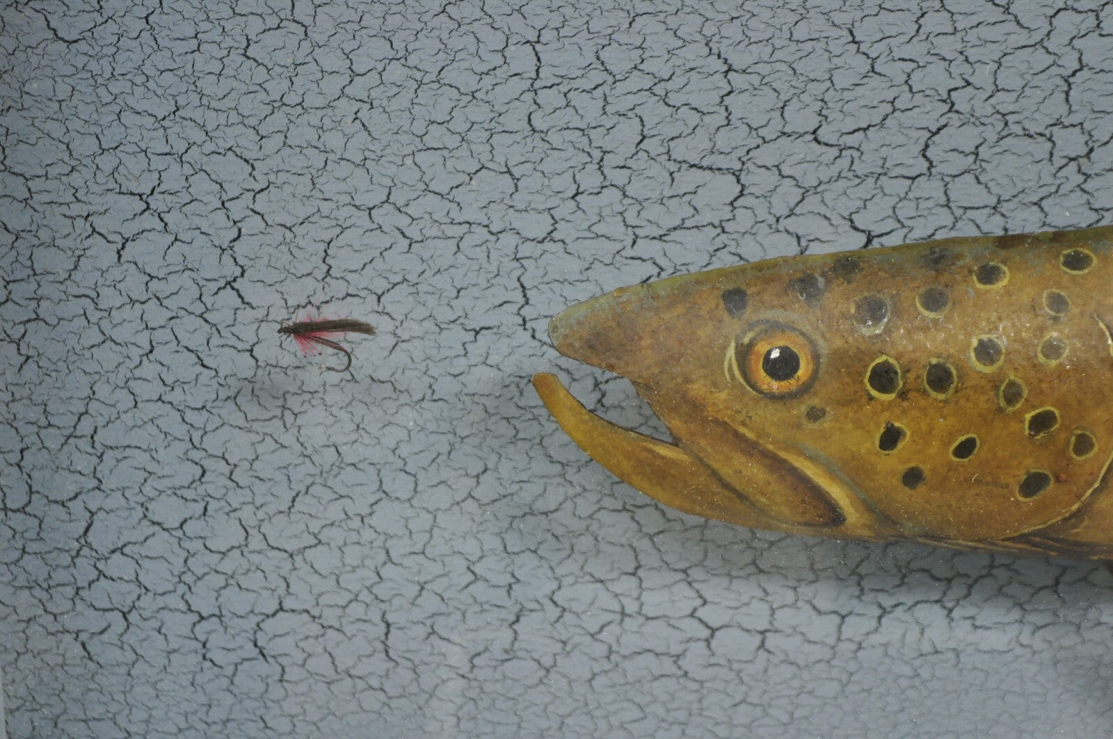Vintage Folk Art Painted Wood "Brown Trout with Fly" Shadowbox Faux Taxidermy