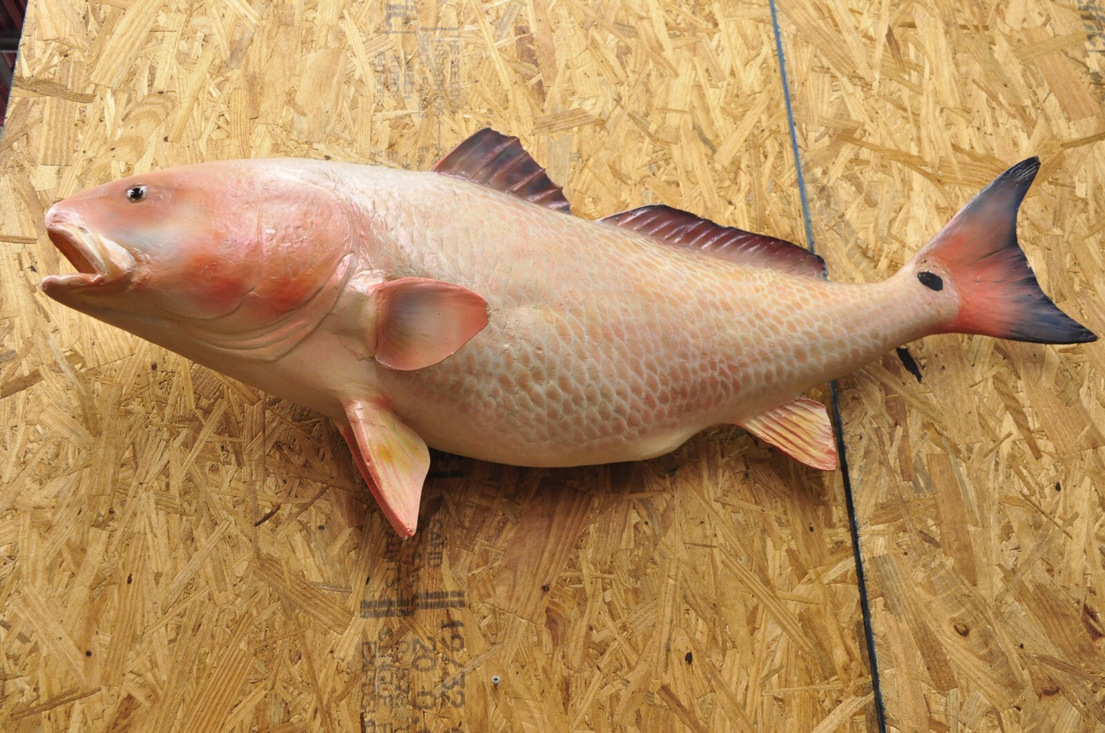 Vintage 49" Large Red Drum Full Wall Mount Taxidermy Redfish Fish Replica