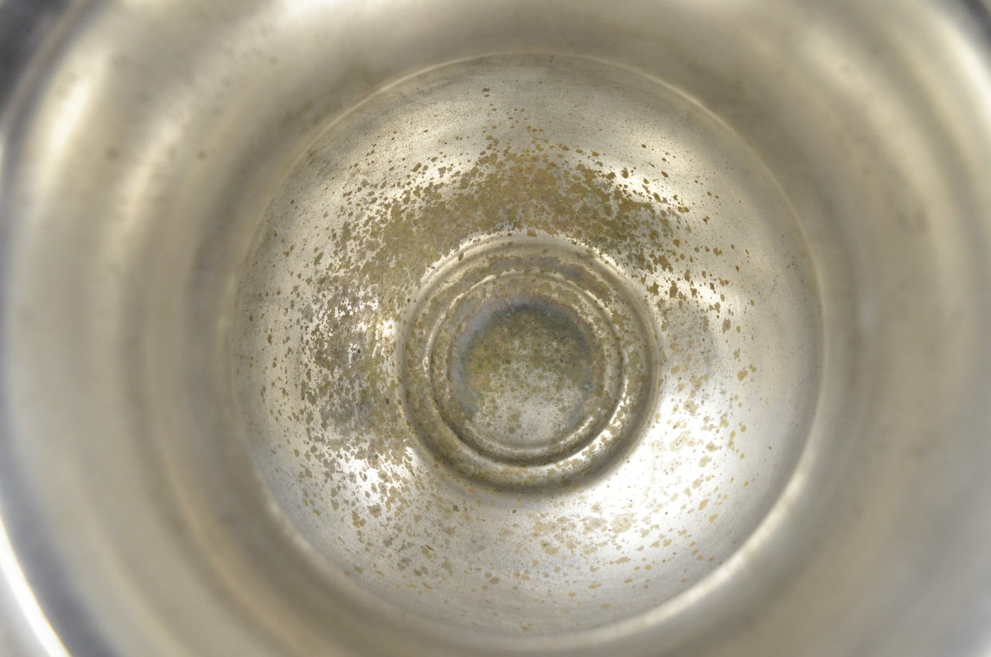 WM Rogers & Son 2051 Spring Flower Silver Plated Trophy Cup Champagne Chiller