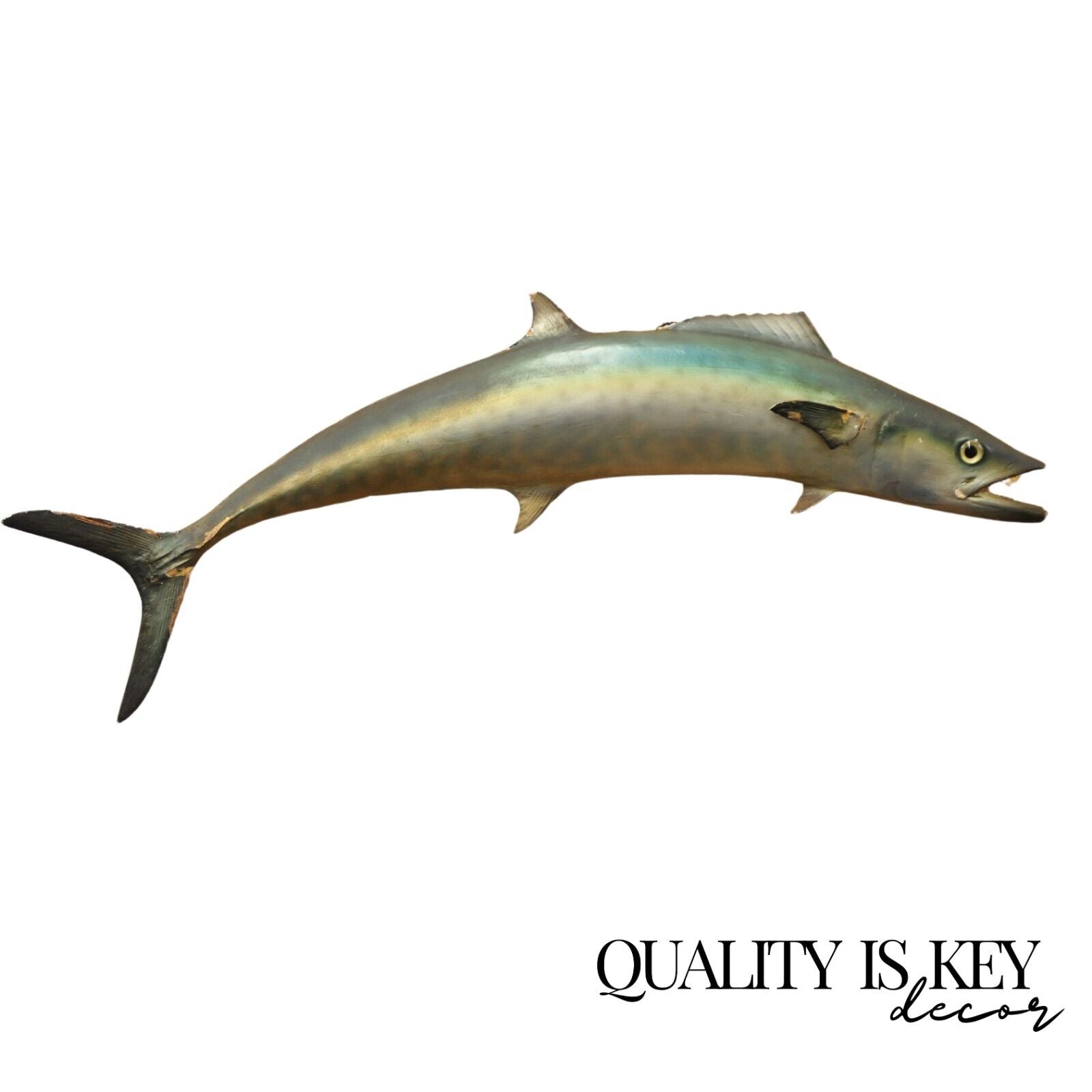 Vintage Kanadi Kingfish Mackerel Fish Replica Wall Mount Taxidermy Fishing Decor