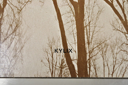 Shaken by Leaf-Fall: Poems by James Hearst Kylix Press (Hardcover) 1976 NOS