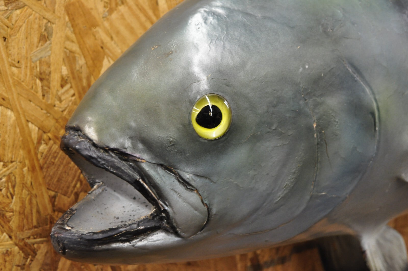 Vintage 46" Large Roosterfish Full Wall Mount Taxidermy Sailfish Fish Replica