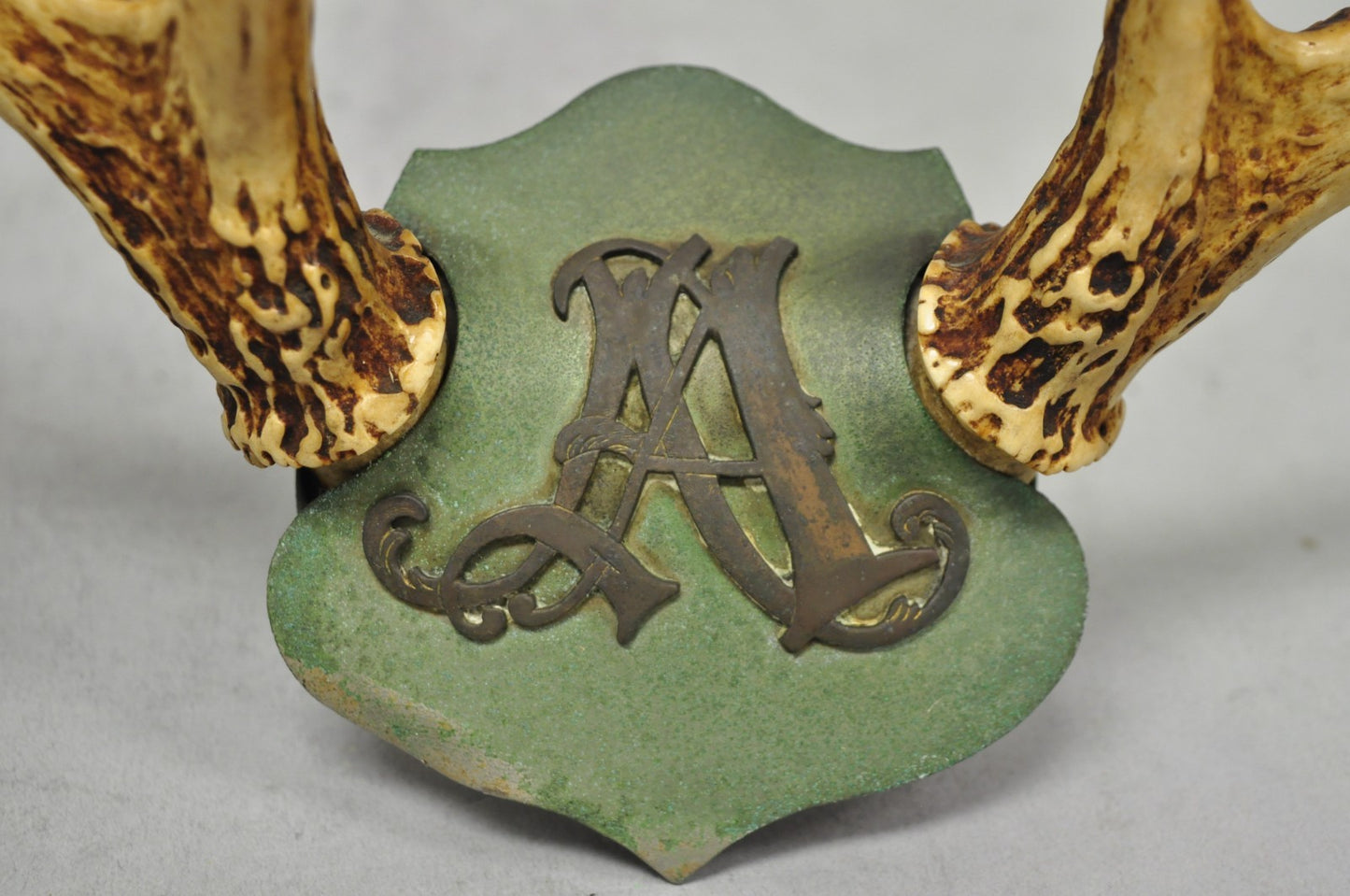 Antique Victorian Taxidermy Whitetail Deer Antler Wall Mount Metal Shield Plaque