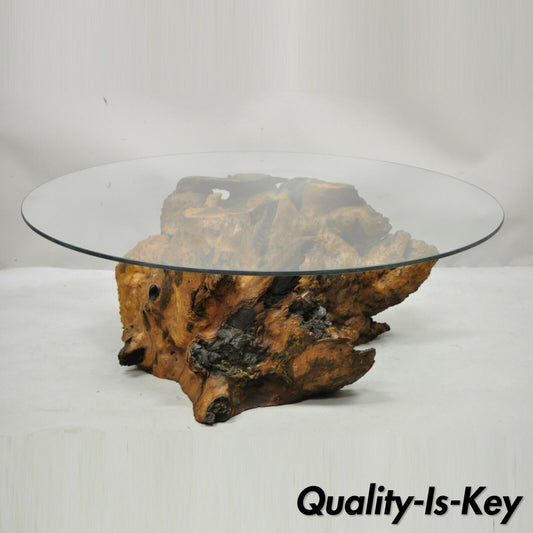 Burl Wood Organic Free Form Live Edge Driftwood Coffee Table Round Glass Top