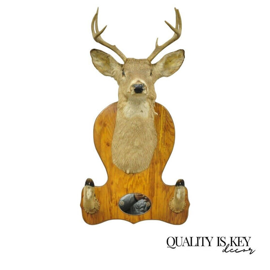 Deer Head Taxidermy Mount 8 Point Pine Board with Gun Rack and Hall Mirror