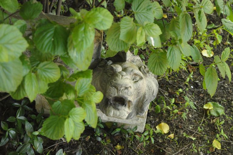 19th C. Terracotta Lion Head Regency Style Building Garden Architectural Element