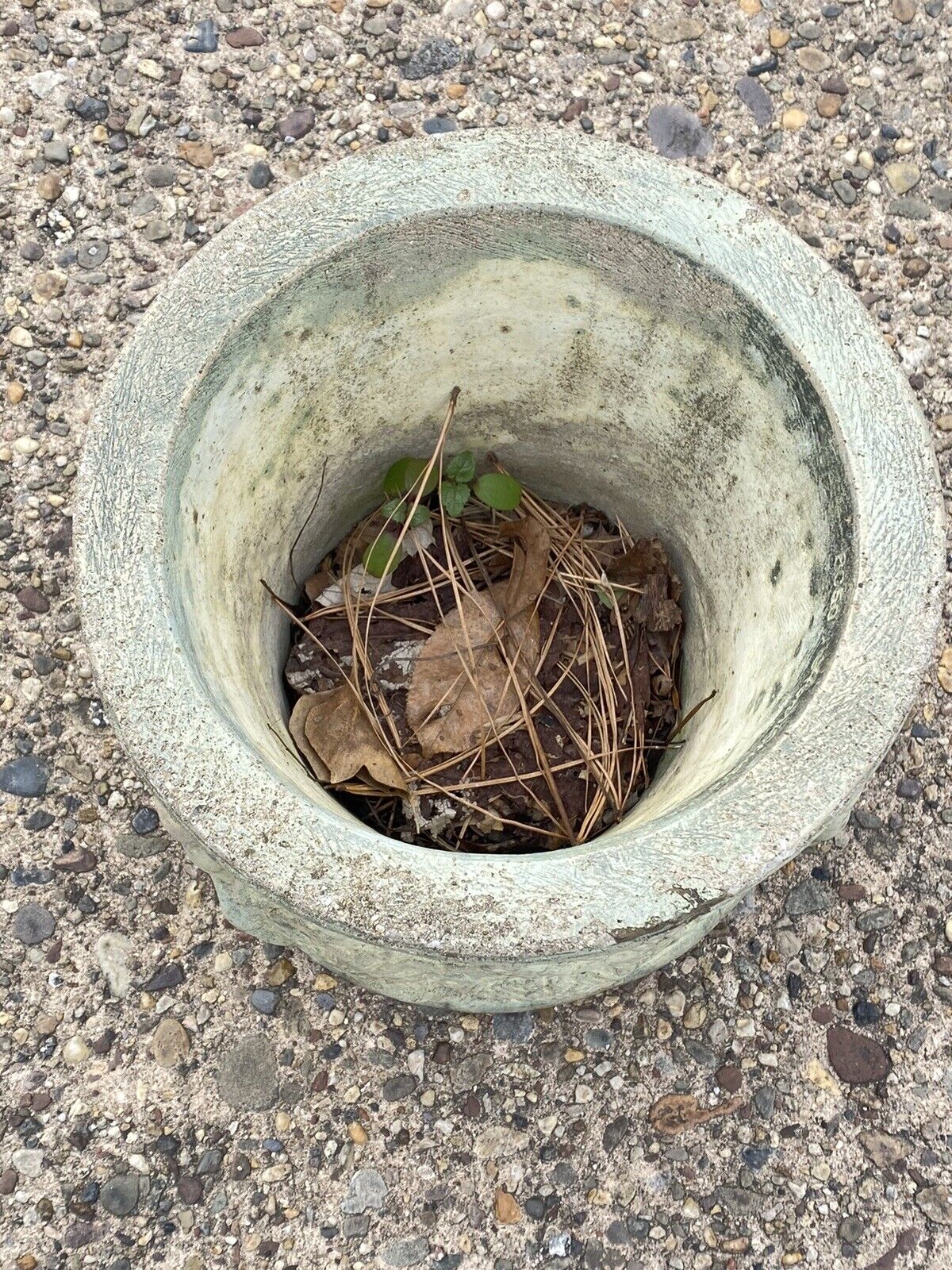 Henri Studio Concrete Cement Small 11" Round Classical Cherub Garden Planter Pot