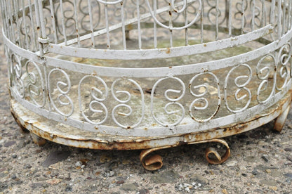 Vintage Wrought Iron Victorian Style Scrolling Wire Metal 58" Garden Birdcage